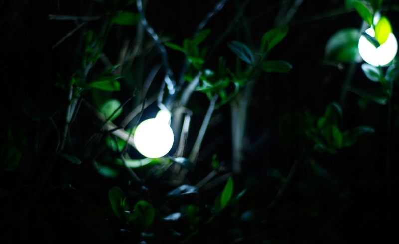 Lampki ogrodowe girlandy ogrodowe 20 metrów zewnętrzne 200 LED Światło stałe - Zimny Biały 12 Lampki ogrodowe girlandy ogrodowe 20 metrów zewnętrzne 200 LED Światło stałe - Zimny Biały 42