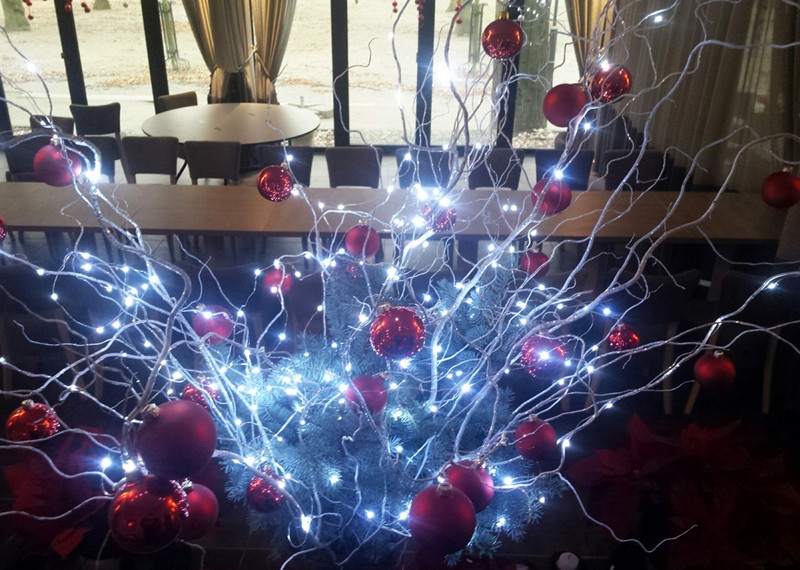 Lampki na druciku Lampki choinkowe 20 metrów zewnętrzne 200 LED Światło stałe - Niebieski 12 Lampki na druciku Lampki choinkowe 20 metrów zewnętrzne 200 LED Światło stałe - Niebieski 44