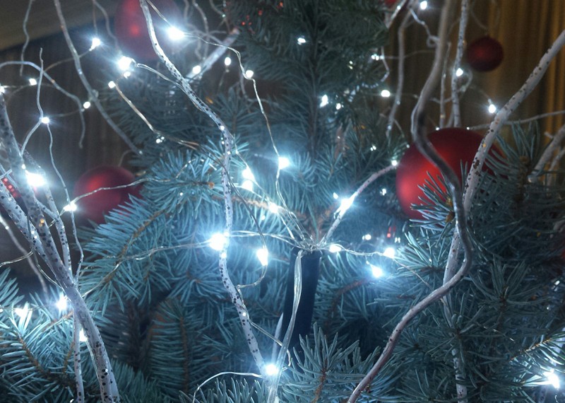 Lampki na druciku Lampki choinkowe 20 metrów zewnętrzne 200 LED Światło stałe - Niebieski 15 Lampki na druciku Lampki choinkowe 20 metrów zewnętrzne 200 LED Światło stałe - Niebieski 47