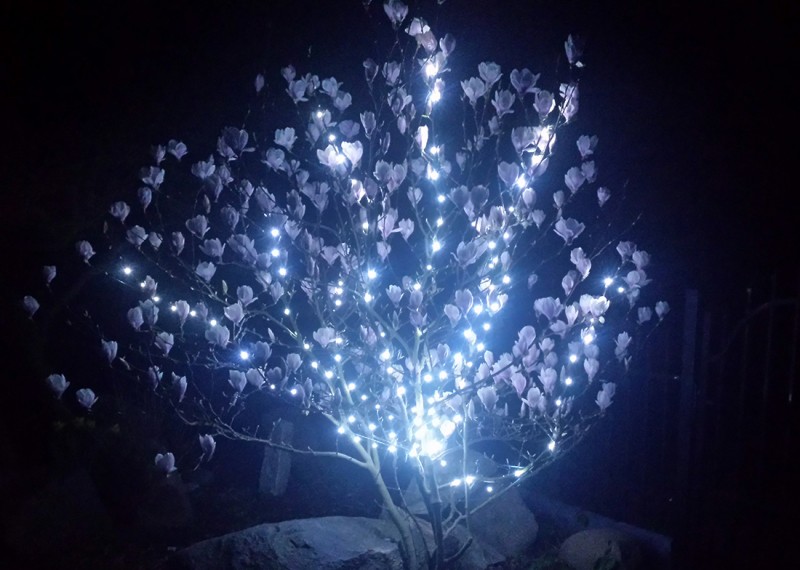 Lampki na druciku Lampki choinkowe 20 metrów zewnętrzne 200 LED Światło stałe - Niebieski 16 Lampki na druciku Lampki choinkowe 20 metrów zewnętrzne 200 LED Światło stałe - Niebieski 48