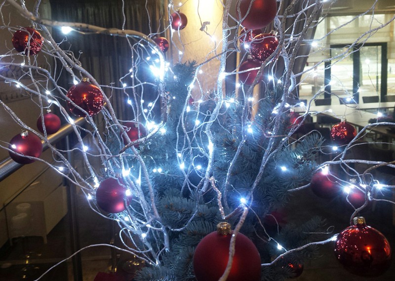 Lampki na druciku Lampki choinkowe 50m zewnętrzne 500 LED Światło stałe - Ciepły Biały 13 Lampki na druciku Lampki choinkowe 50m zewnętrzne 500 LED Światło stałe - Ciepły Biały 37