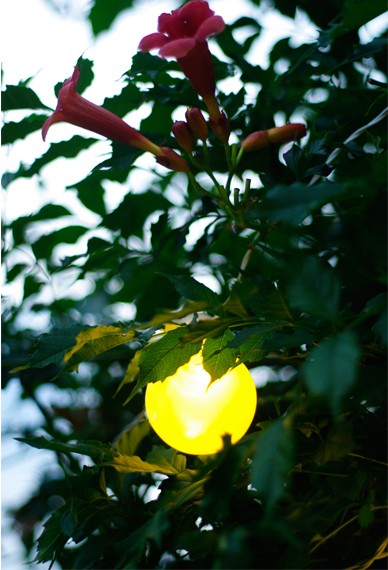 Lampki ogrodowe girlandy ogrodowe 10 metrów zewnętrzne 20 LED Światło stałe - Zimny Biały 13 Lampki ogrodowe girlandy ogrodowe 10 metrów zewnętrzne 20 LED Światło stałe - Zimny Biały 43