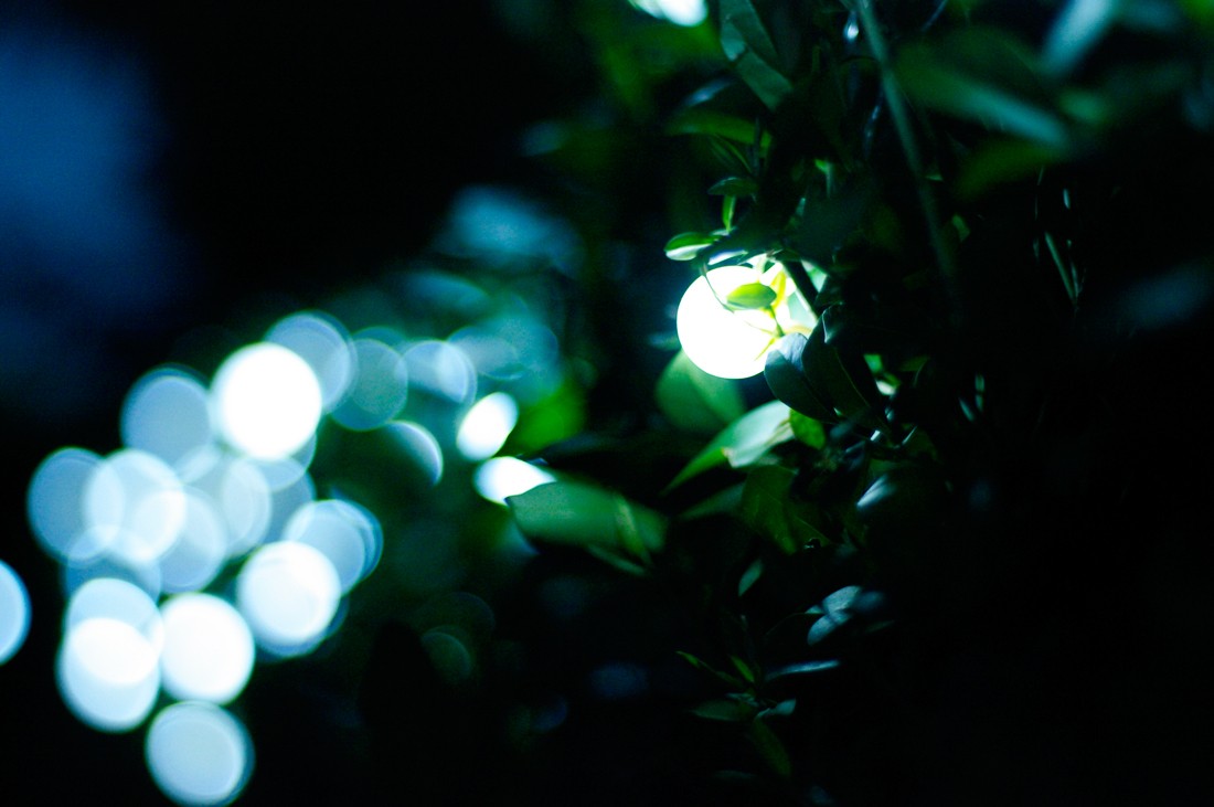 Lampki choinkowe lampki perełki 20 metrów zewnętrzne 200 LED Światło stałe - Multikolor 11 Lampki choinkowe lampki perełki 20 metrów zewnętrzne 200 LED Światło stałe - Multikolor 41