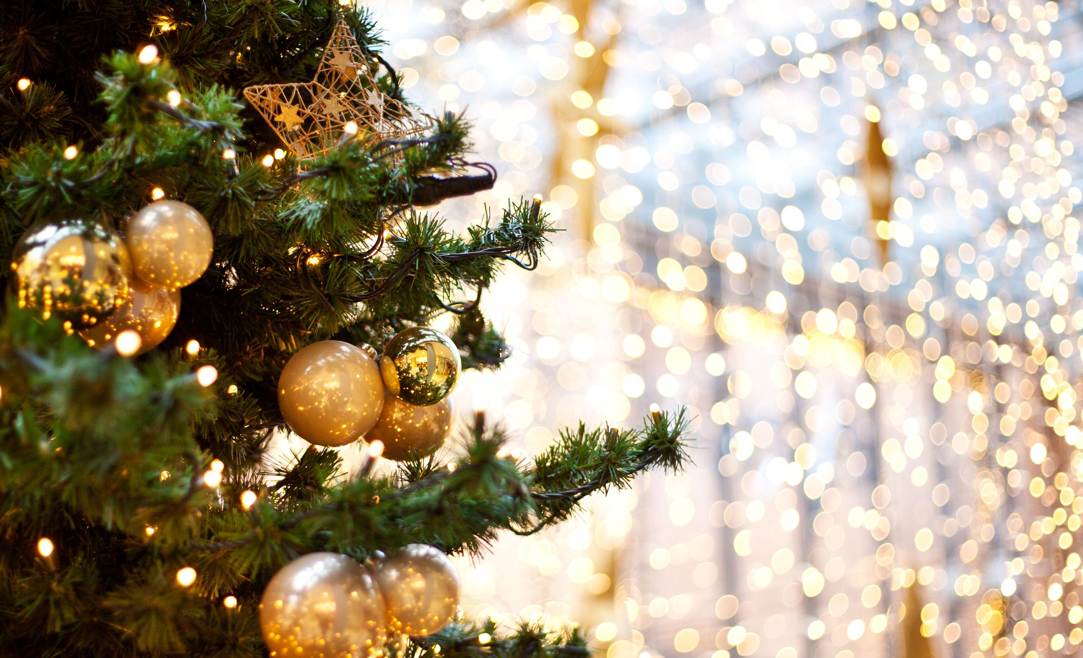 Sople LED oświetlenie świąteczne 4,25 metra wewnętrzne 100 LED z gniazdem - Światło stałe - Niebieski 7 Sople LED oświetlenie świąteczne 4,25 metra wewnętrzne 100 LED z gniazdem - Światło stałe - Niebieski 25